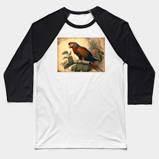 Vintage Parrot Baseball T-Shirt